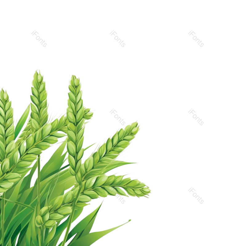 元素图片,麦子元素,麦穗PNG,绿色免抠素材